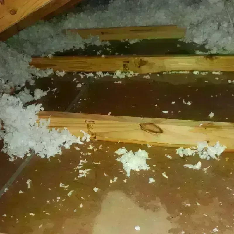 Attic Water Damage in North Spearfish, SD