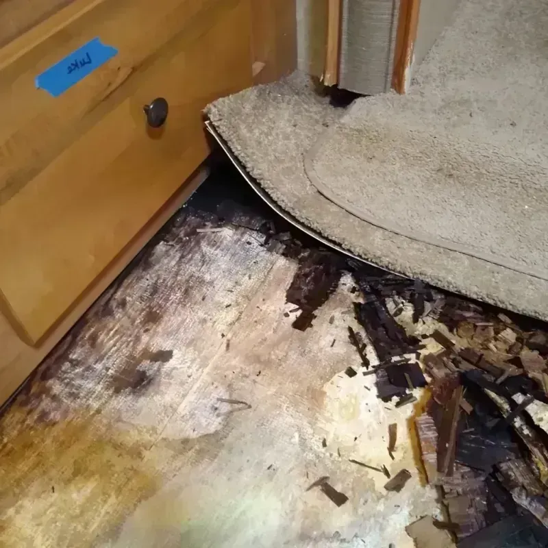 Wood Floor Water Damage in North Spearfish, SD